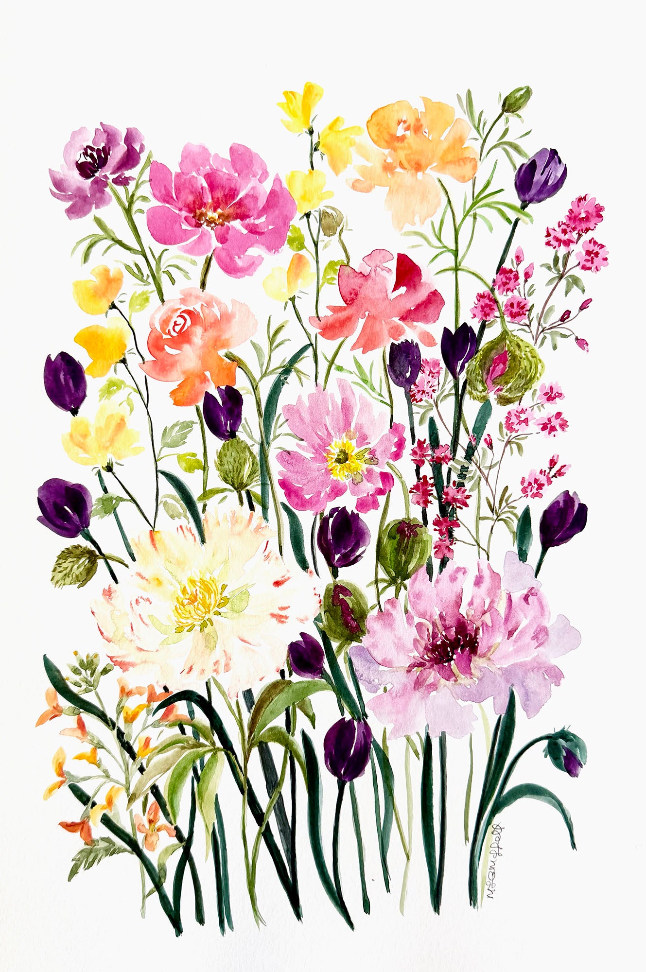 Colourful original watercolour painting of various flowers , roses, tulips peonies poppy and more on a white background.
