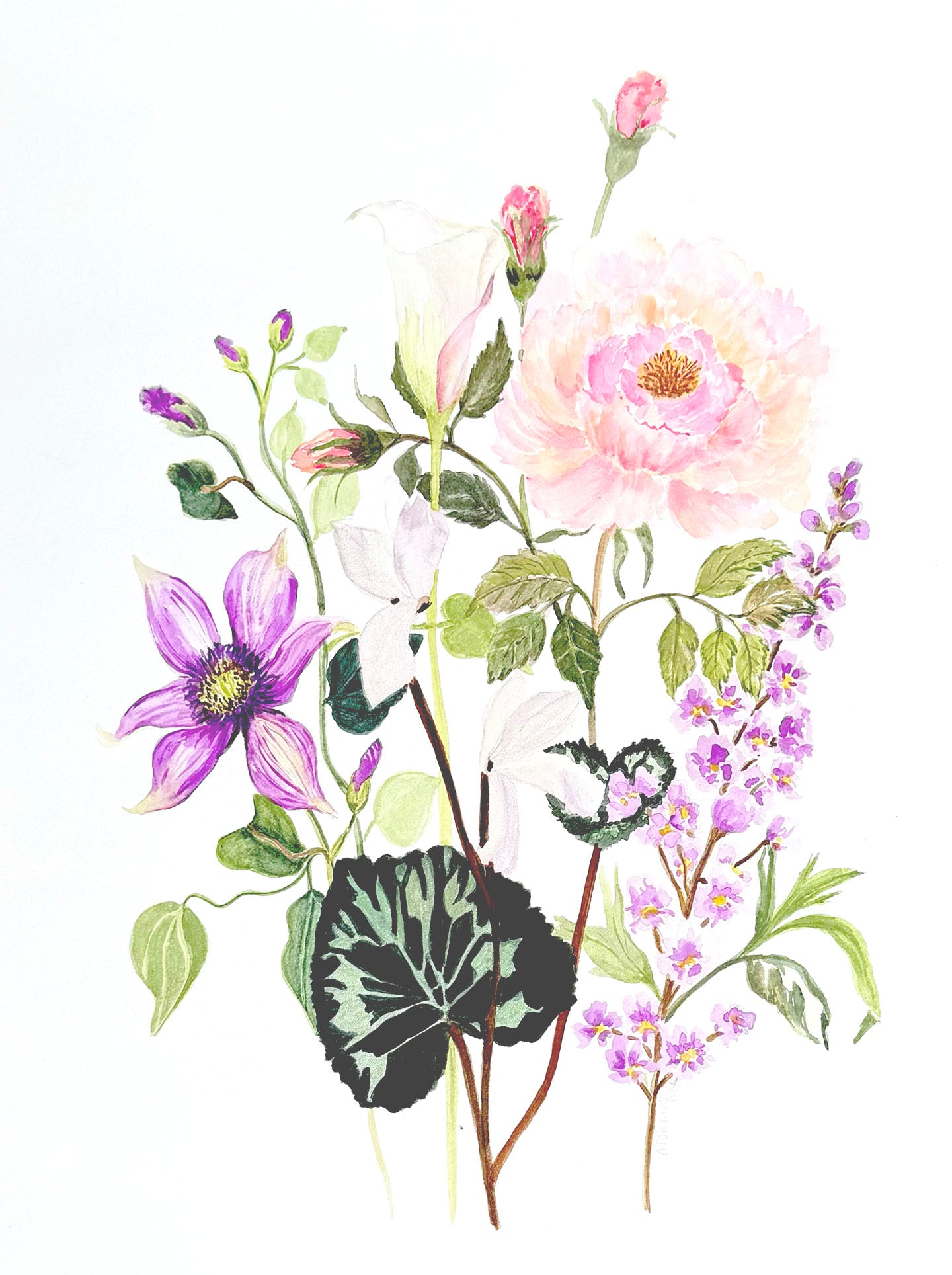 Original Floral Watercolour Painting, Petal Harmony