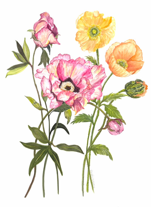 This original watercolour floral painting, " Title Poppy Love" features expressive multicolour poppy blooms on archival 300gsm paper