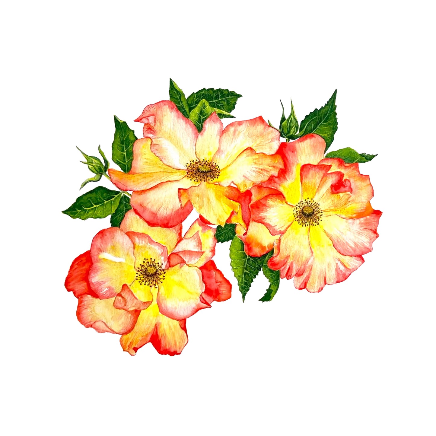 Colourful original watercolour floral painting with orange and yellow flowers on a white background