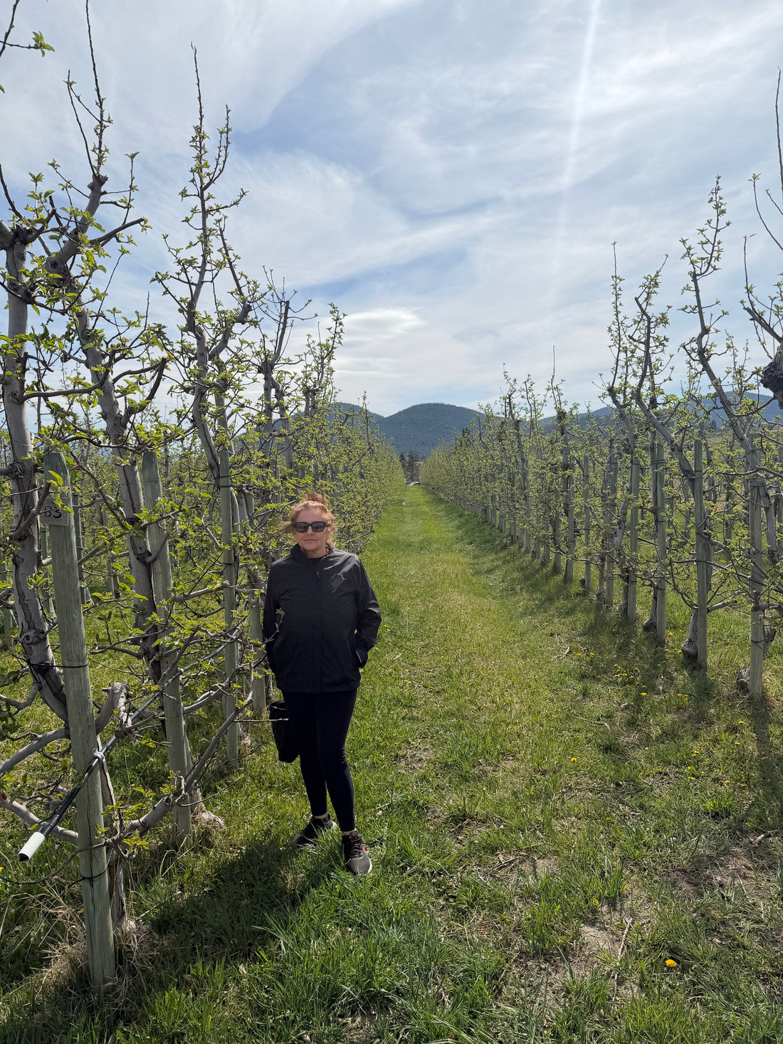 Exciting News: I’ve Moved to the Okanagan