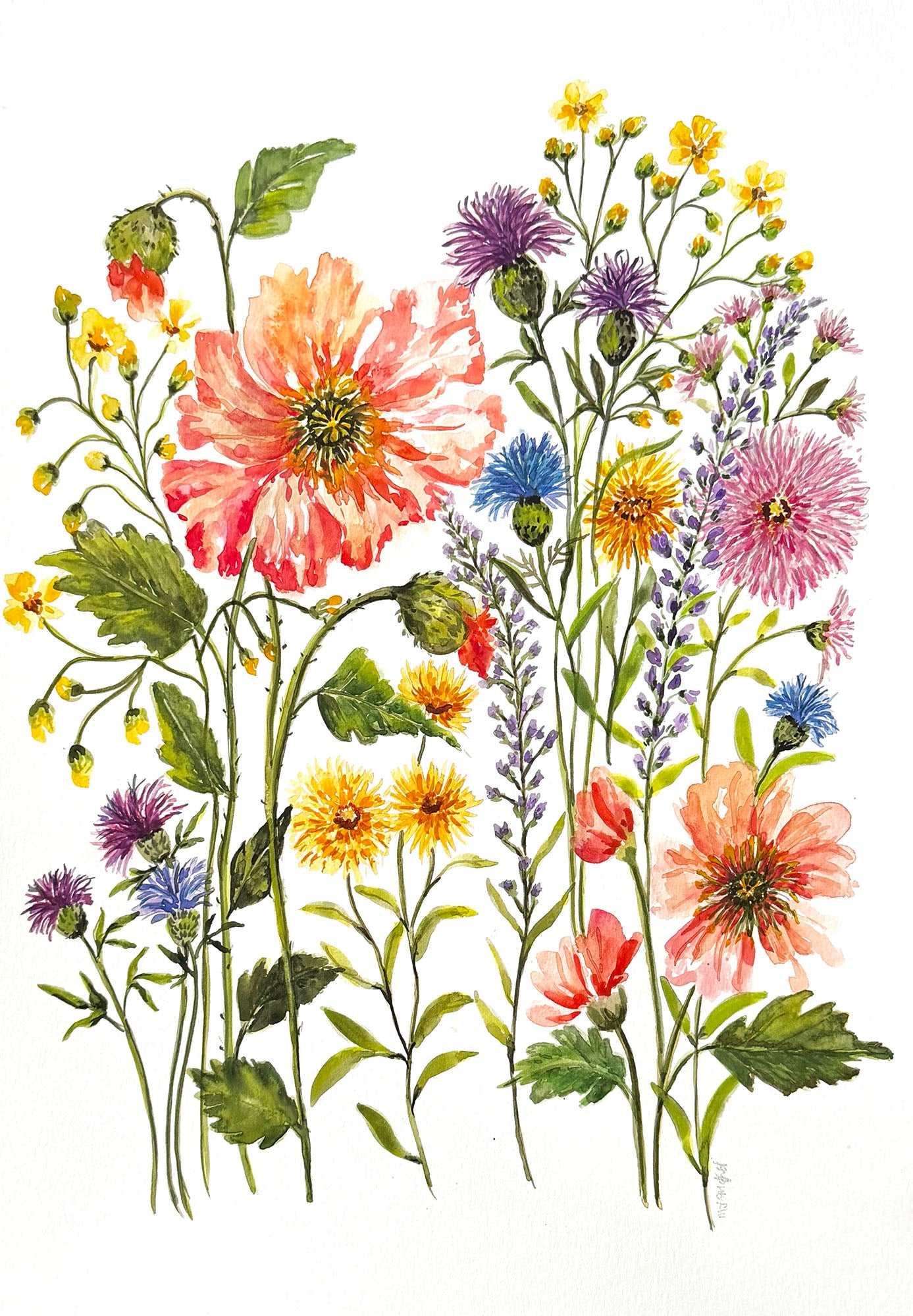 Original Watercolour Flower Painting. Enchanting Flower Watercolour. Free shipping.