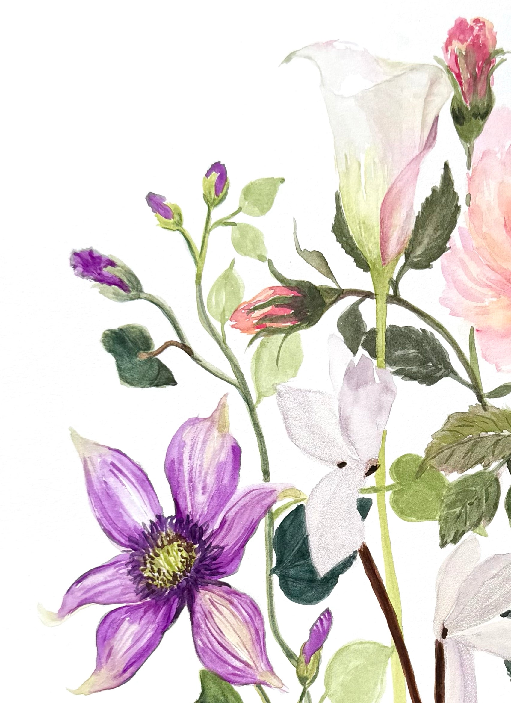 Original watercolour painting, Title Petal harmony. 12 x 18 inches. Featuring purple clematis, white calla lilies, pink roses, and green leaves on a white background. ideal for home decor enthusiasts, art collector.