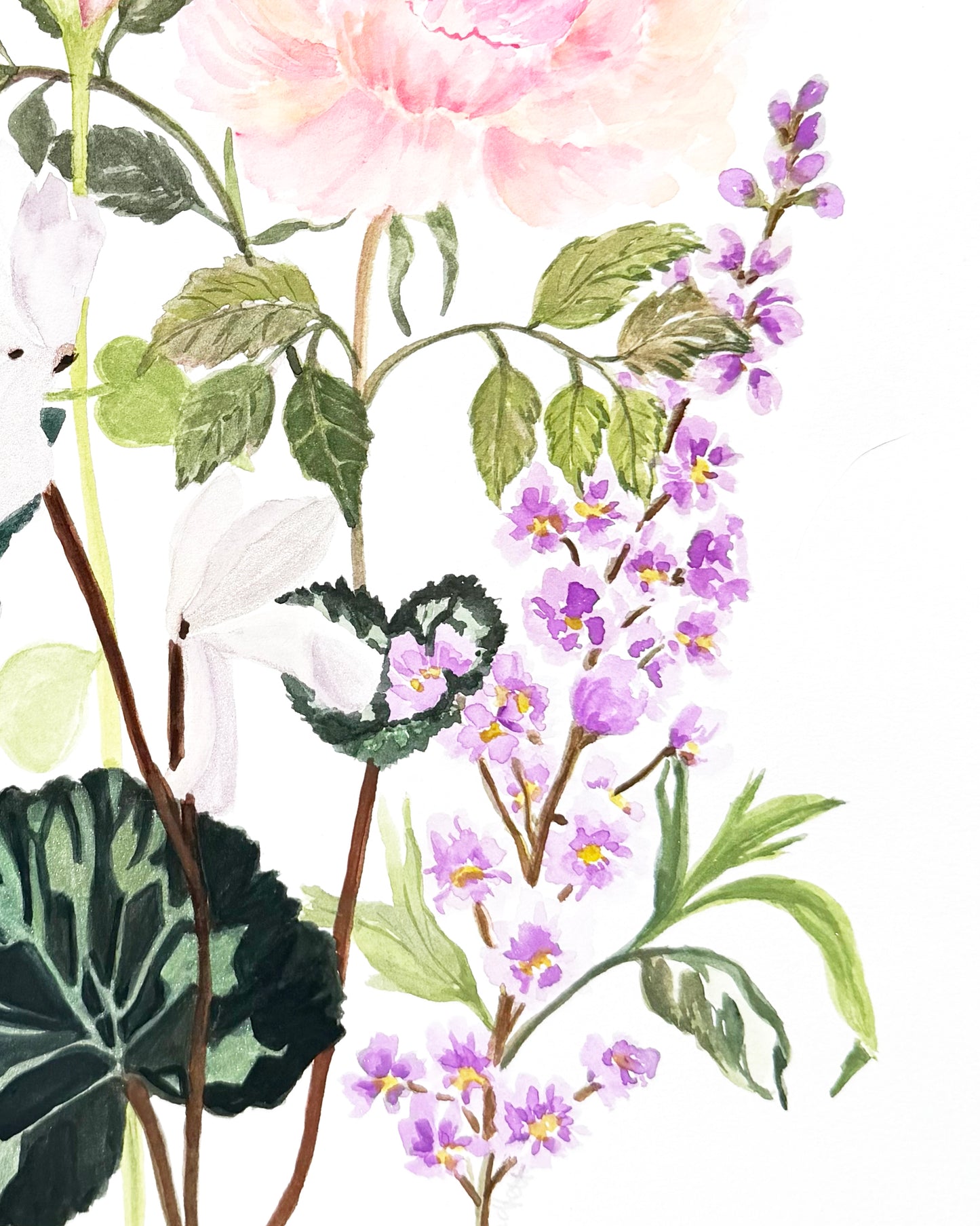 Original Botanical watercolour painting of pink flowers, green leaves, and clusters of small purple blossoms on a white background. great for home decor.