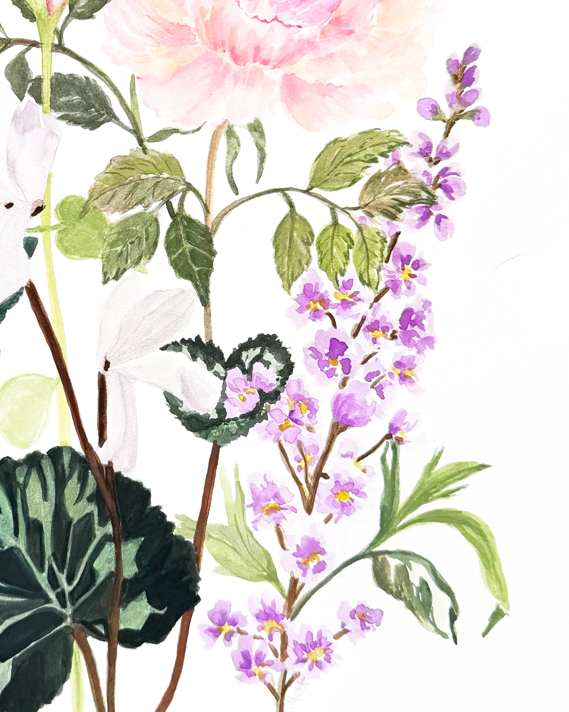 Original Botanical watercolour painting of pink flowers, green leaves, and clusters of small purple blossoms on a white background. great for home decor.