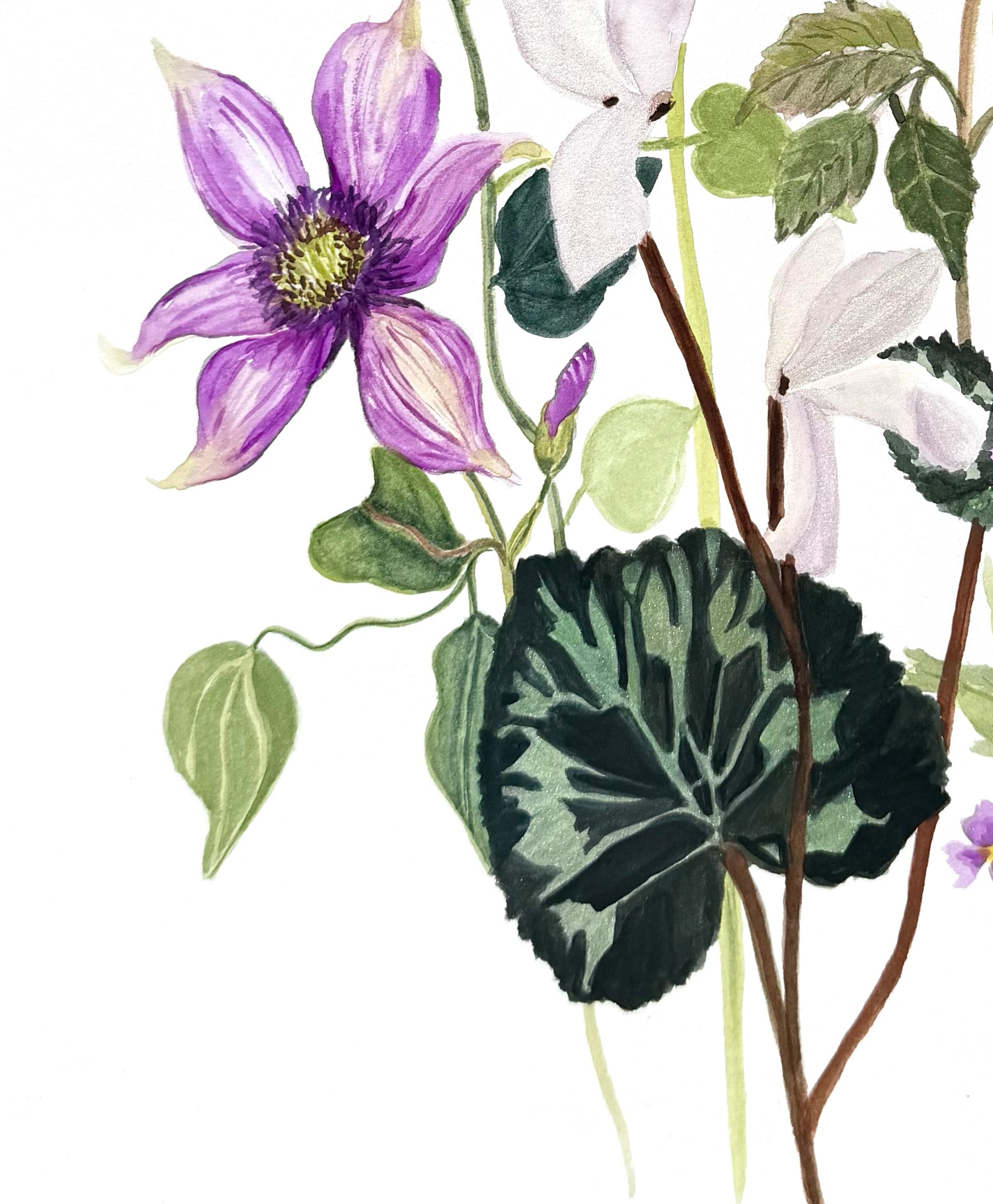 Original Watercolour flower painting, title Petal Harmony, 12 x 18 inches.Featuring purple clematis, white calla lilies, pink roses, and green leaves on a white background. ideal for home decor enthusiasts, art collector.