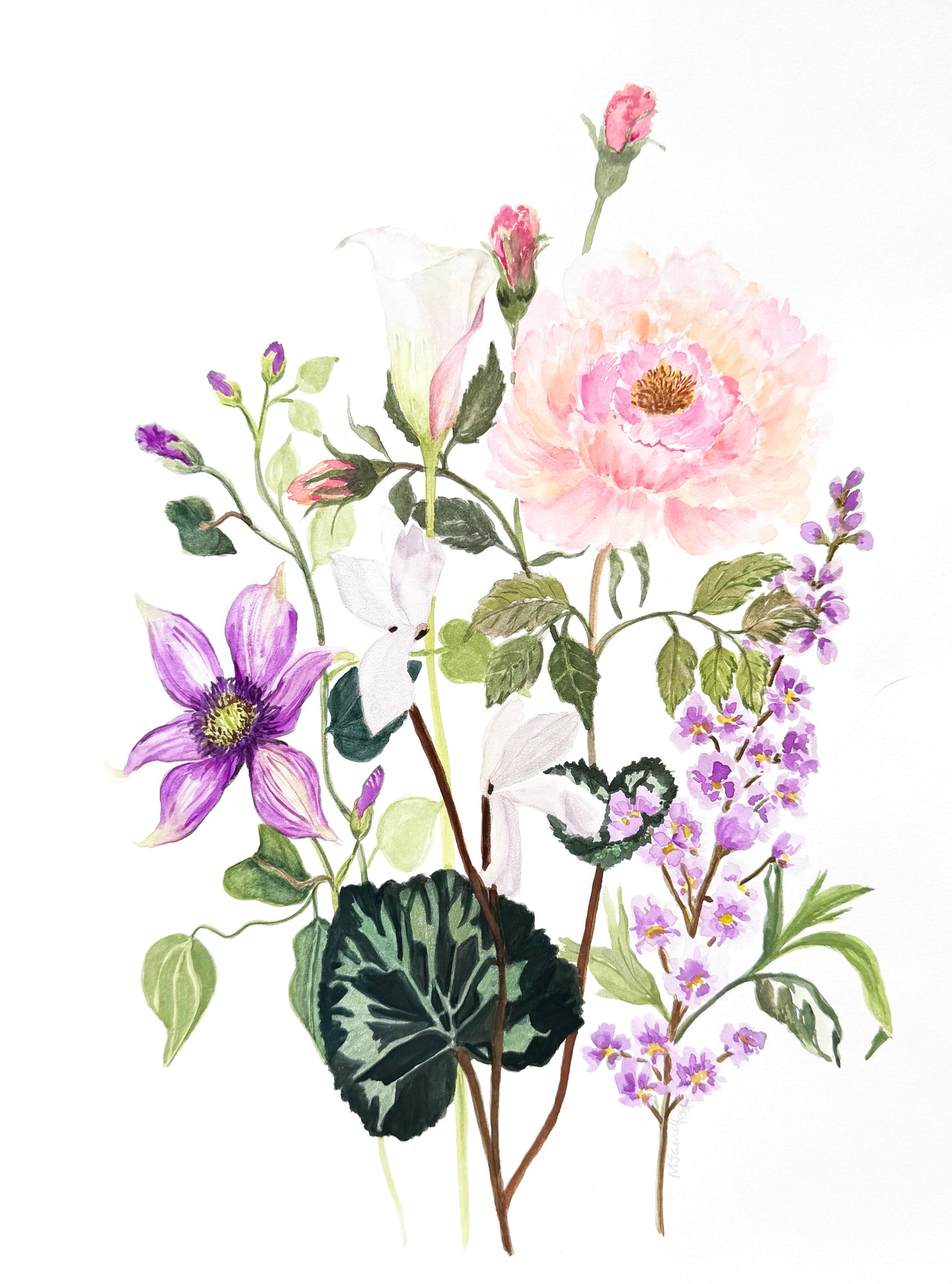 Original watercolour painting, title Petal harmony. 12 x 18 inches. Botanical illustration of a mixed flower bouquet on a white background, featuring a large pale pink flower, a purple bloom, white blossoms, green leaves, and small purple flowers.