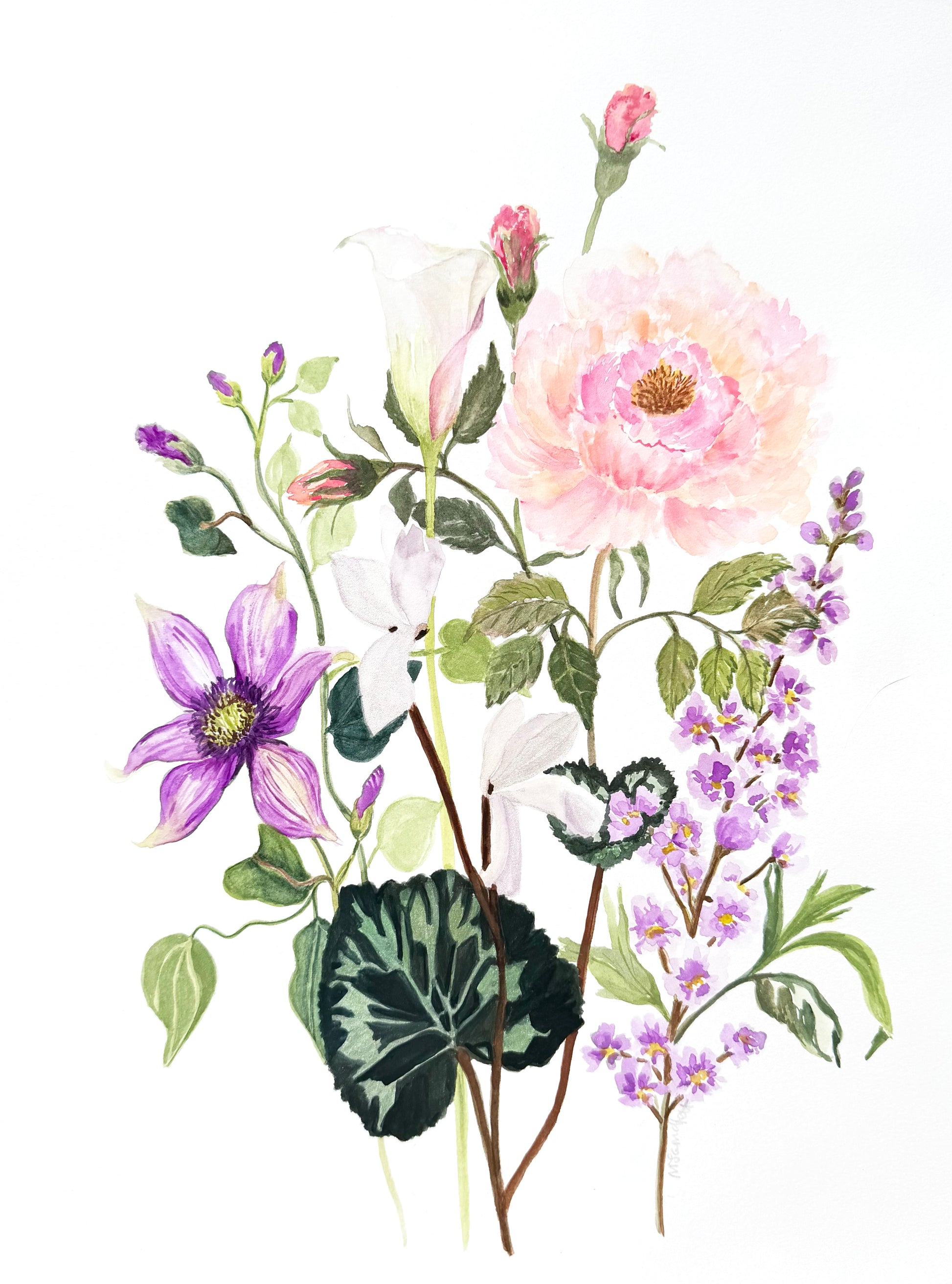 Original watercolour painting, title Petal harmony. 12 x 18 inches. Botanical illustration of a mixed flower bouquet on a white background, featuring a large pale pink flower, a purple bloom, white blossoms, green leaves, and small purple flowers.