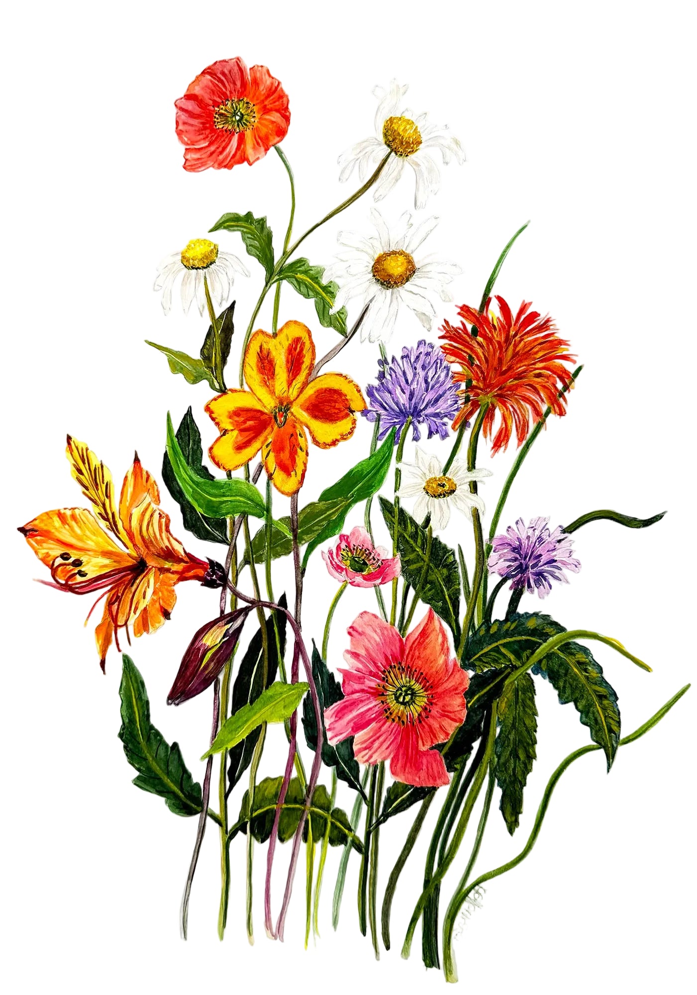 Original watercolour flower painting for flower enthusiasts,
12 x 18 inches
Certificate of authenticity included.
Free Shipping.