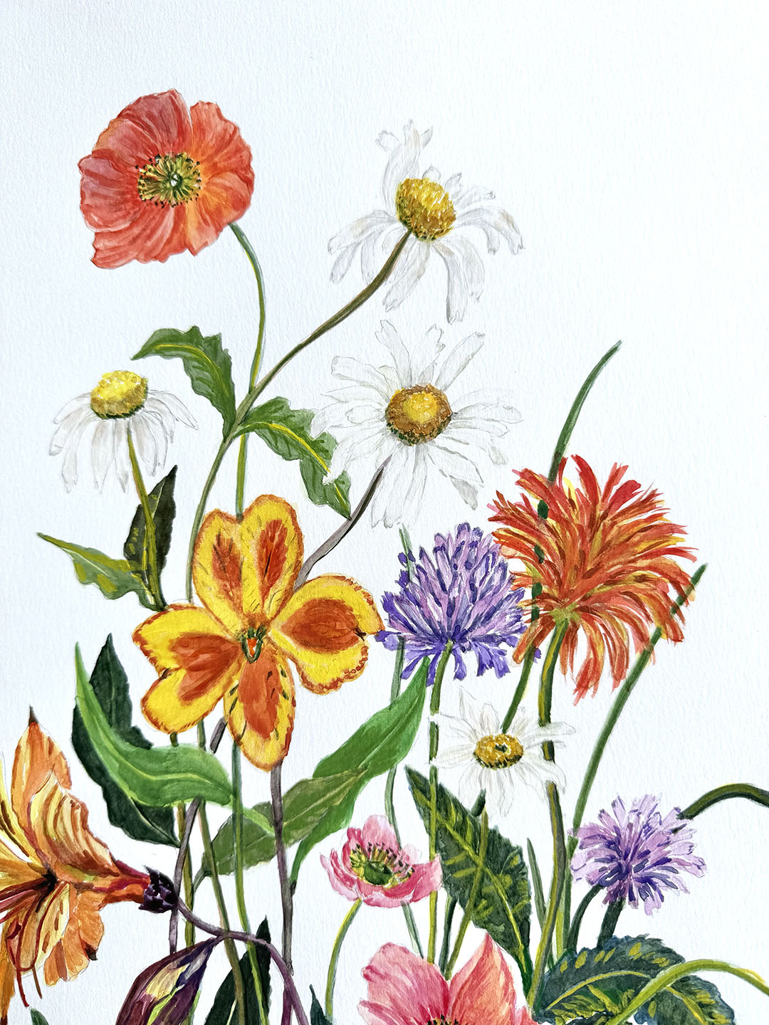 Botanical art print featuring a variety of colourful wildflowers, including orange poppies, white daisies, yellow and orange flowers, purple chamomile, and pink blossoms on a white background.