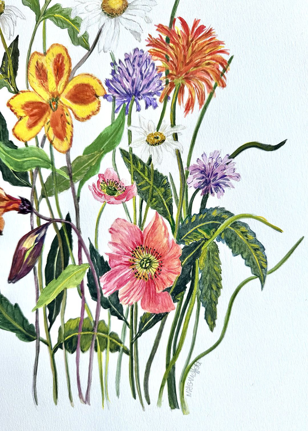 Botanical art print featuring a variety of colourful wildflowers, including orange poppies, white daisies, yellow and orange flowers, purple chamomile, and pink blossoms on a white background.