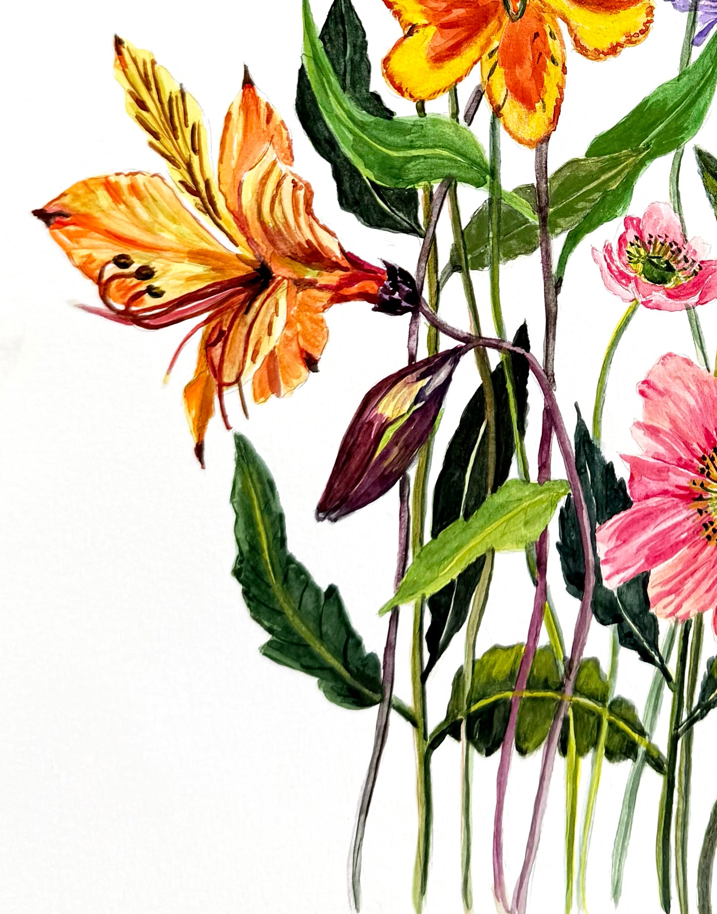 An original botanical illustration of a mixed flower bouquet . 12 x 18 inches 300 gsm  archival paper. Seen on a white background, featuring orange, pink, yellow, and purple blossoms with green leaves and stems. Desirable for 
home decor enthusiasts.