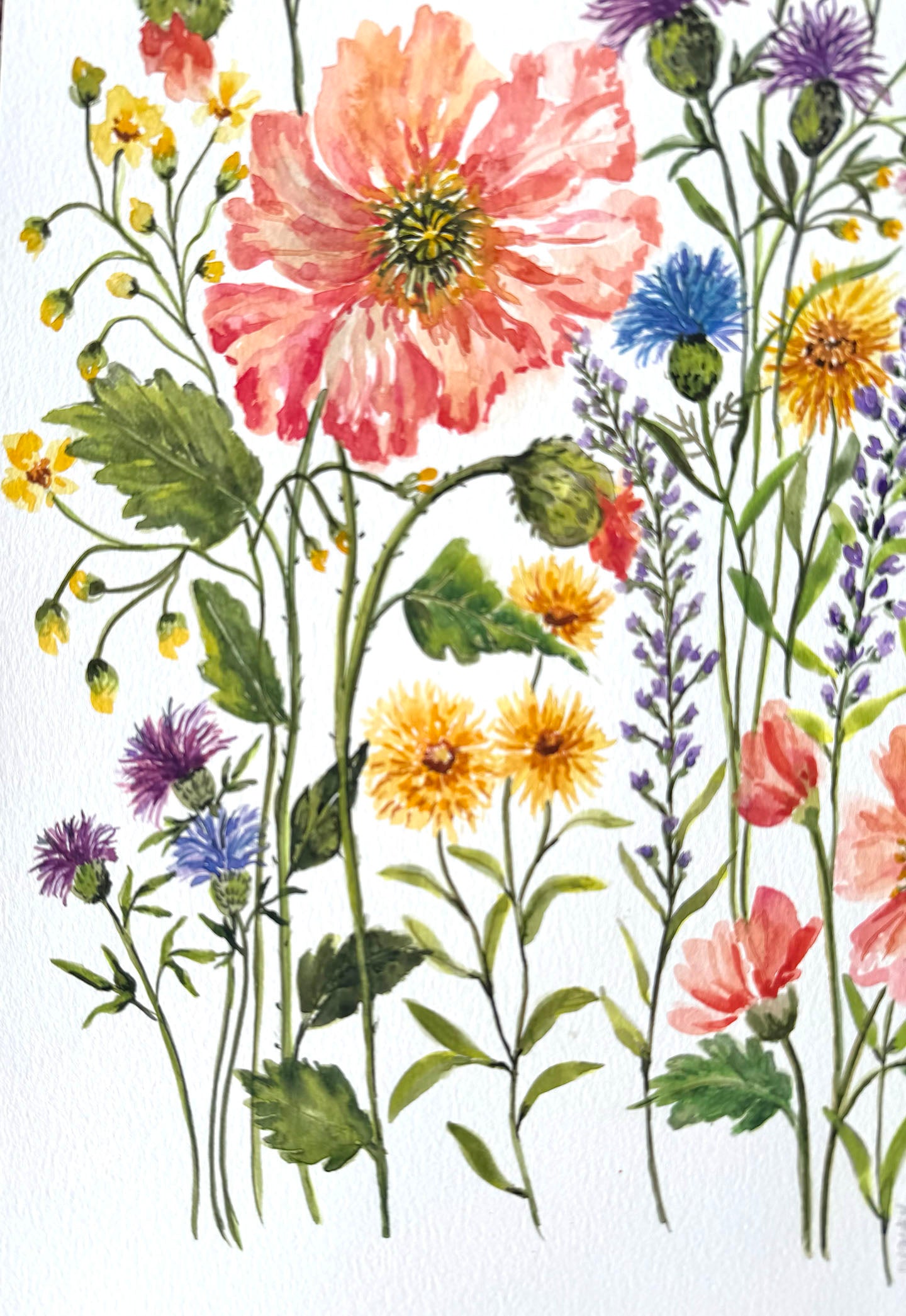 This original floral watercolour painting is hand-painted on 300gsm acid-free, archival paper for lasting beauty in your space. size 12 x 18 inches. Unframed. The loose, impressionistic wildflower bouquet composition and vivid multi-color palette create a natural, meadow-like feel