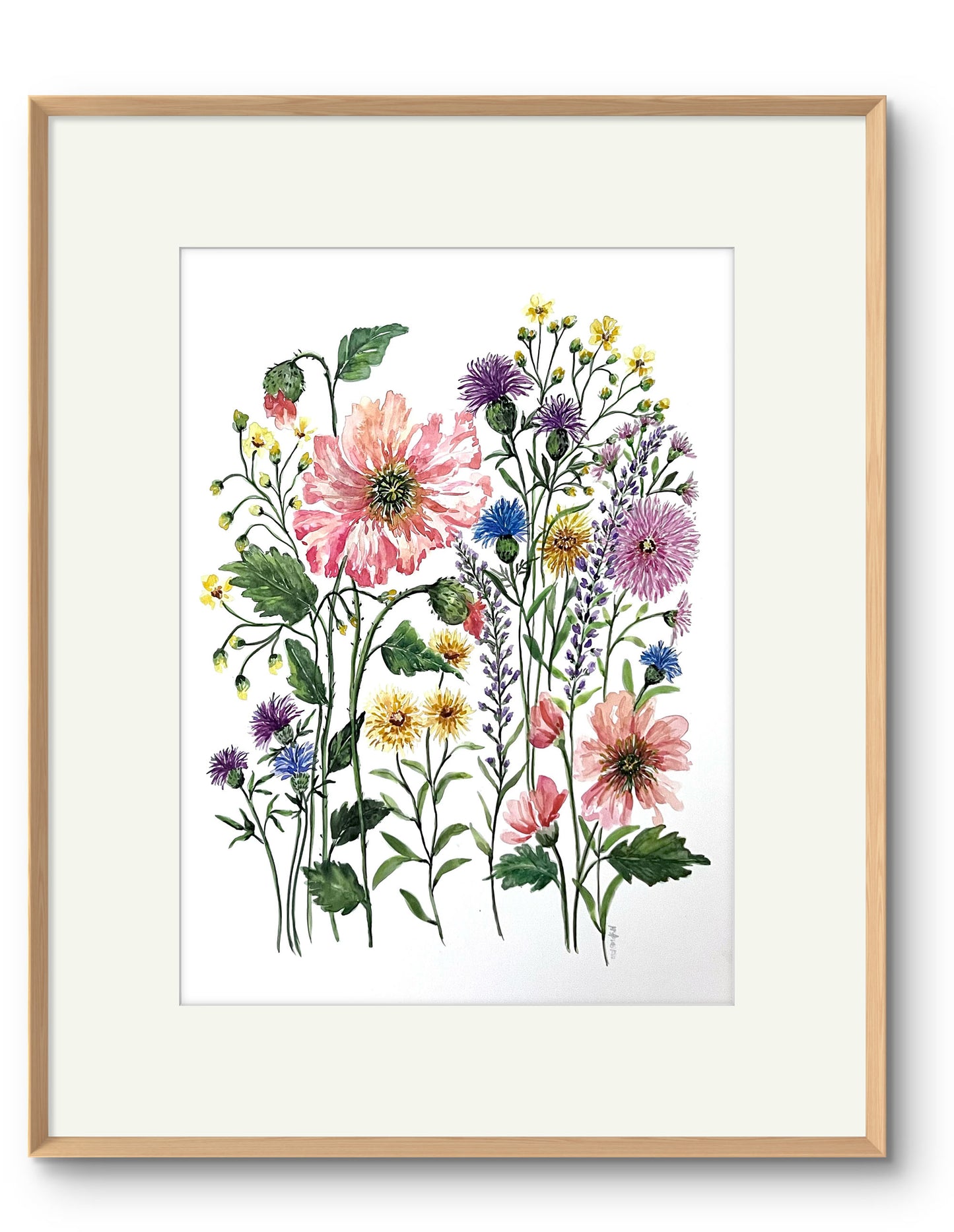 Wild Flower Original Watercolour Painting, For Art Collectors  or a Special Gift.