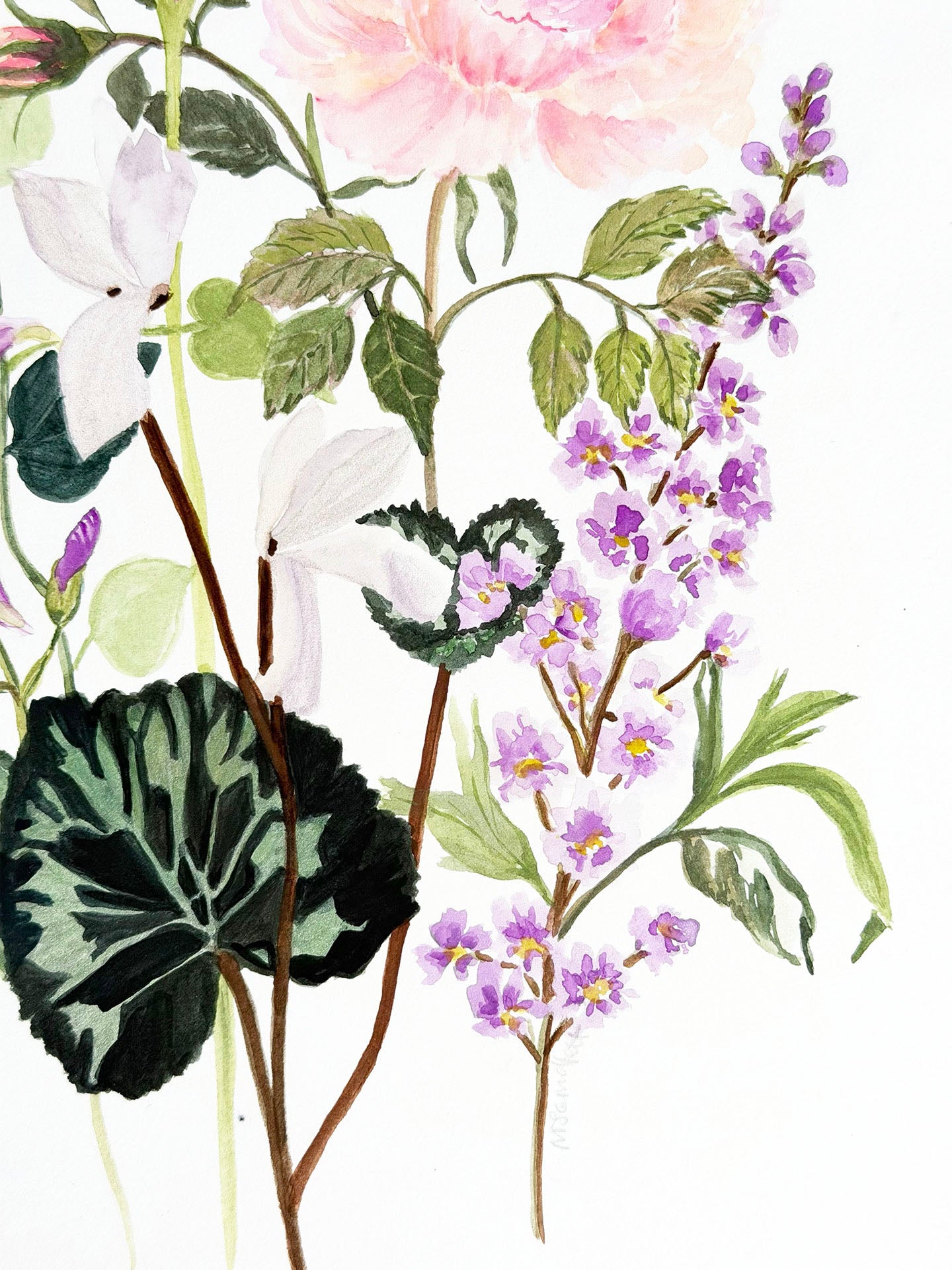 Original Floral Watercolour Painting, Petal Harmony