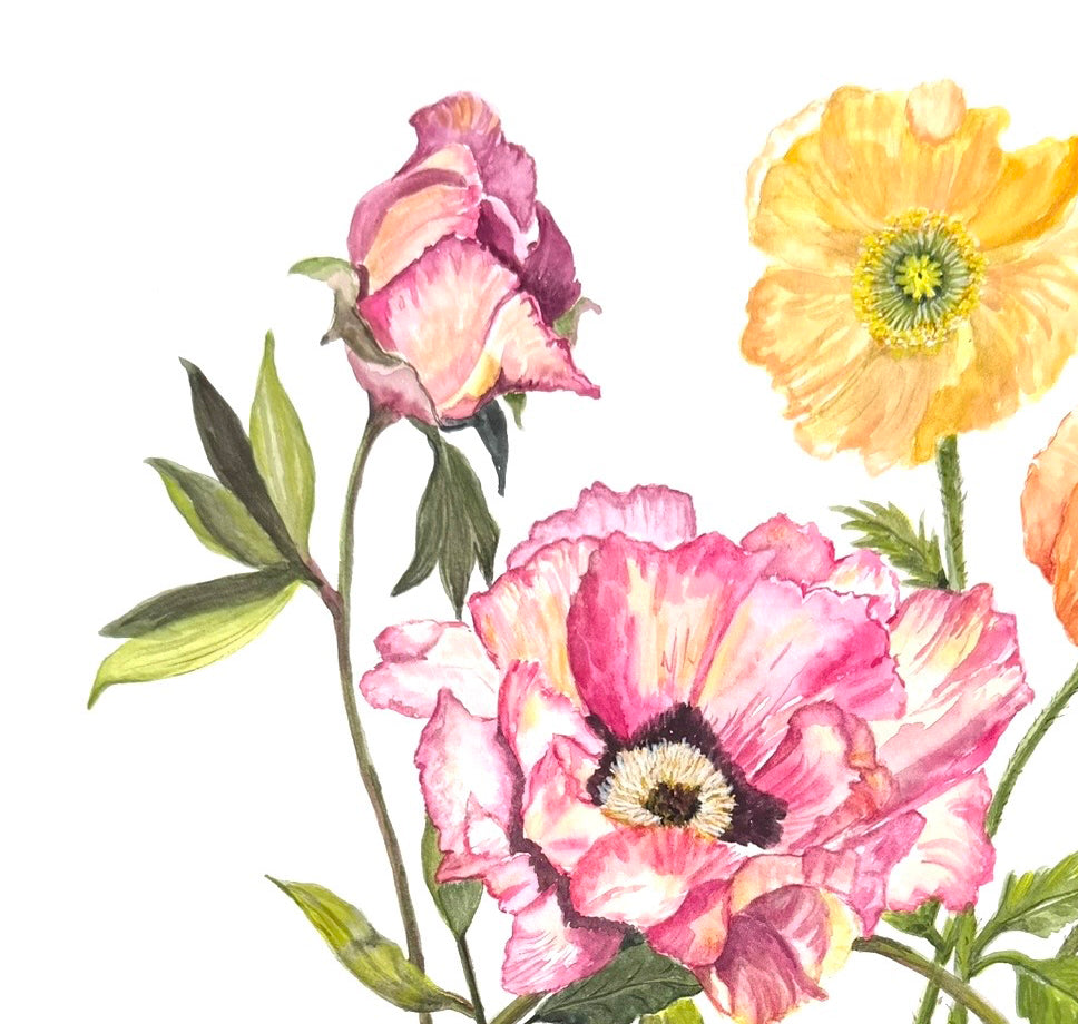 This original watercolour floral painting, " Title Poppy Love" features expressive multicolour poppy blooms on archival 300gsm paper, 12 x 18 nches
