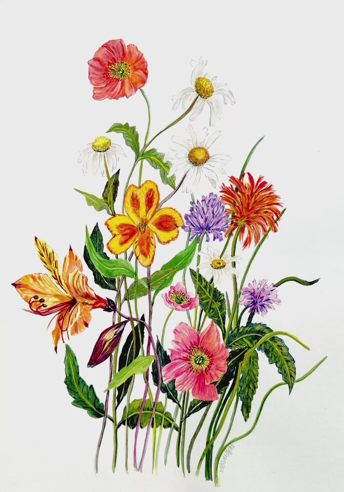 Video - Original watercolour flower painting for flower enthusiasts,
12 x 18 inches
Certificate of authenticity included.
Free Shipping.