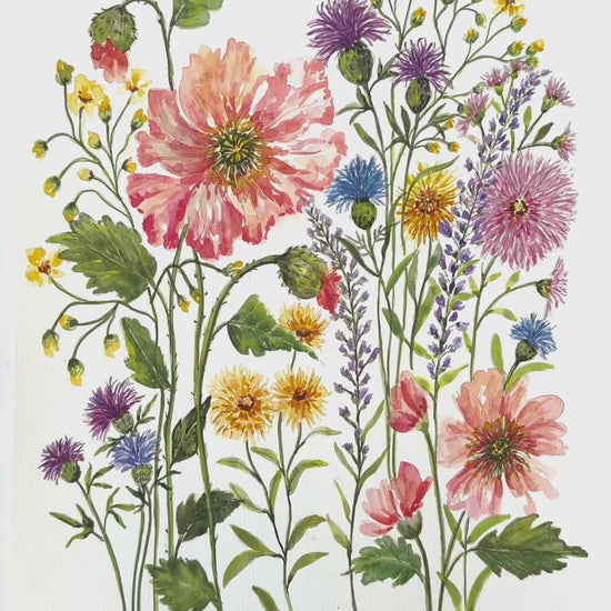 video Original Watercolour Flower Painting. Enchanting Flower Watercolour.