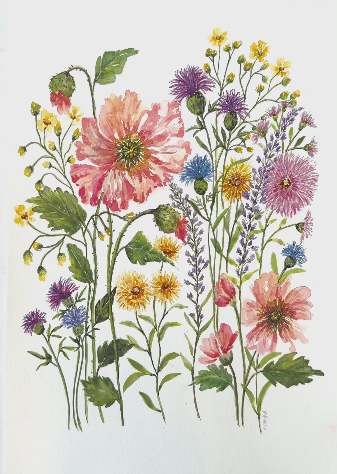 video Original Watercolour Flower Painting. Enchanting Flower Watercolour.