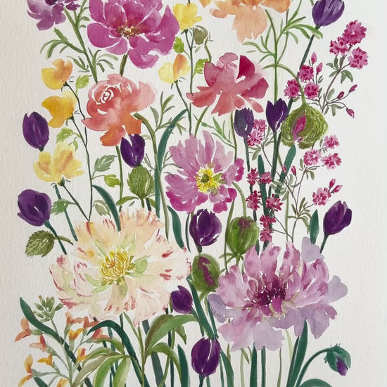 Colourful  original watercolour painting of various flowers , roses, tulips peonies poppy and more on a white background.