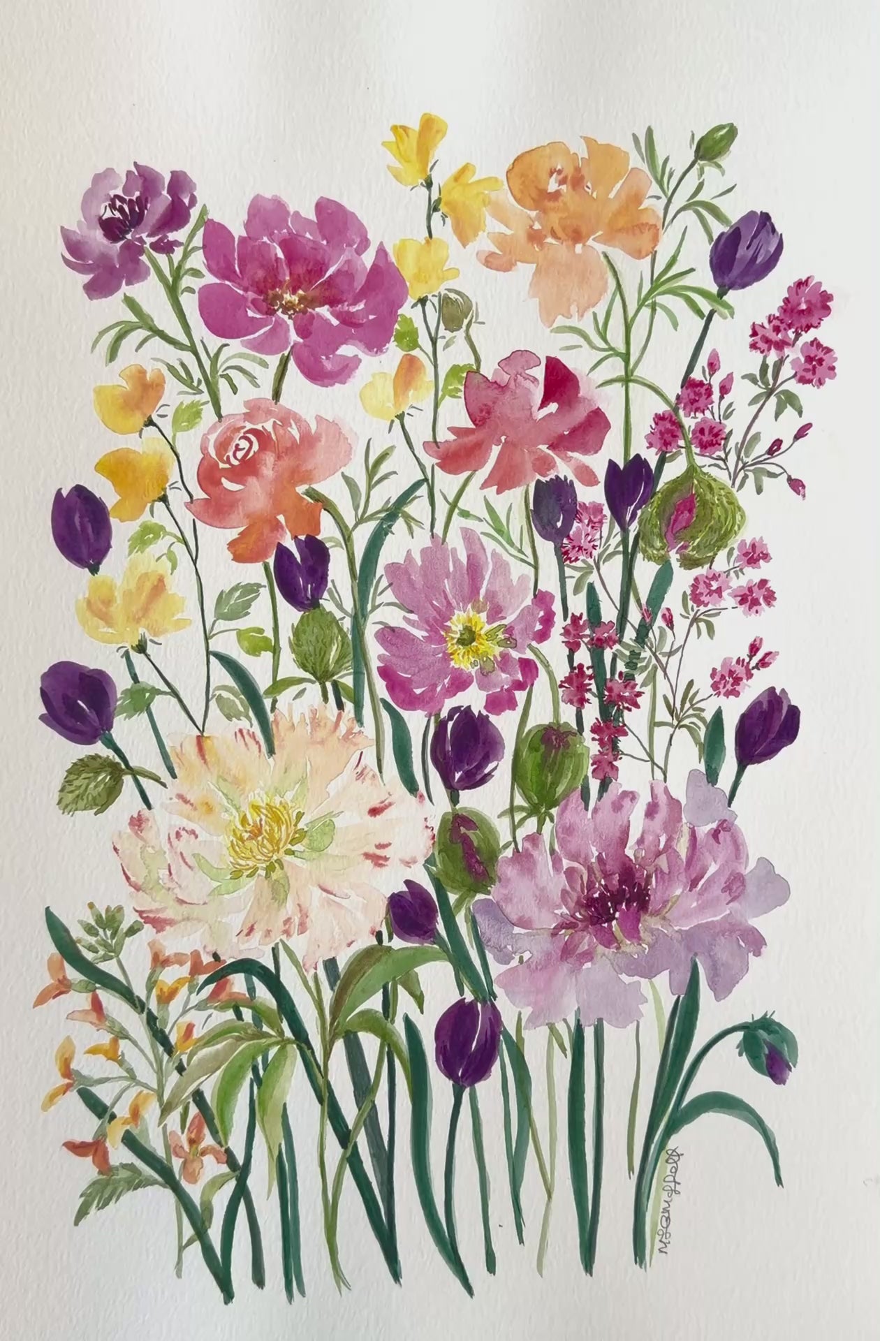Colourful  original watercolour painting of various flowers , roses, tulips peonies poppy and more on a white background.