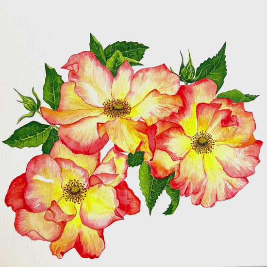 Video -Colourful  original watercolour floral painting with orange and yellow flowers on a white background