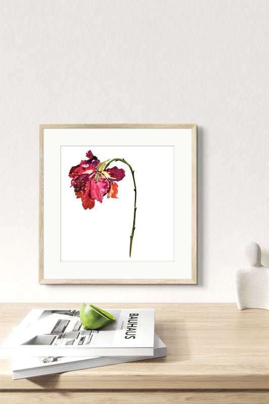 Original Watercolour Flower Painting, Wilted Rose  Minimalist Art For your Home Decor